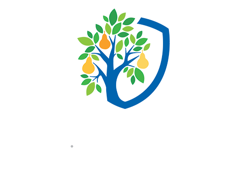 Charborough Road Primary School